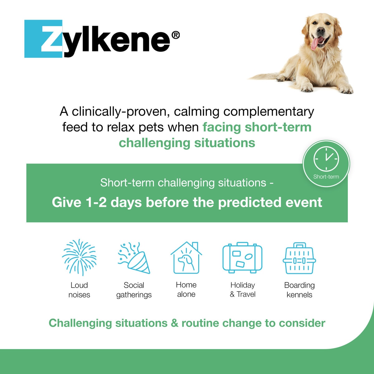 Zylkene Calming Supplement for Dogs 10-30kg - 100 capsules - fourth image